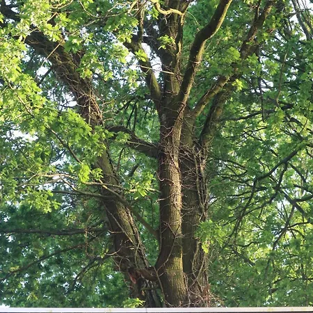 Bosrust & Bubbels - Met Hottub In *