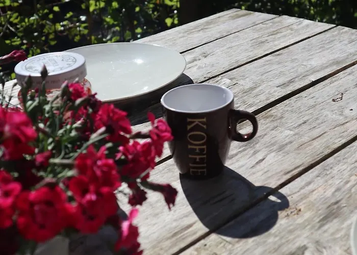 Bosrust & Bubbels - Met Hottub In * Putten