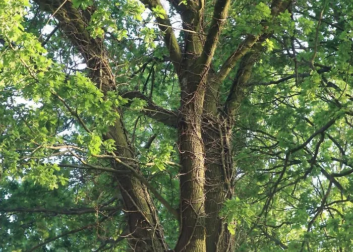 Bosrust & Bubbels - Met Hottub In *