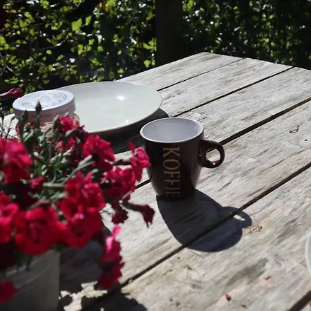 Bosrust&bubbels - Met Hottub In * Putten